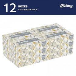 NEW Kleenex Professional Facial Tissue (03076), 2-Ply, White, Flat Facial Tissue Boxes for Business, Convenience Case (125 Tissues/Box, 12 Boxes/Case, 1,500 Tissues/Case)