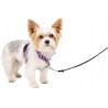 NEW PetSafe 3 in 1 Dog Harness - No Pull Solution for Dogs - Reflective Dog Harness - Front D-Ring Clip Helps Stop Pulling - Comfortable Padded Straps - Top Handle Enhances Control - Plum - X-Small