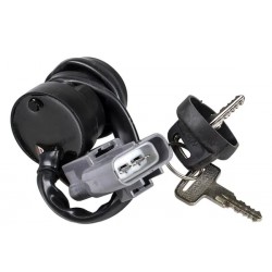 NEW c-isa-0010 ignition switch with keys