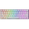 NEW GK61 Mechanical Gaming Keyboard - 61 Keys Multi Color RGB Illuminated LED Backlit Wired Programmable for PC/Mac Gamer (Gateron Optical Red, White)
