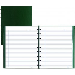 NEW Blueline NotePro Notebook, 192 Pages, Green, 9-1/4-Inch x 7-1/4-Inch (A9C.84)