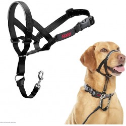 NEW HALTI Headcollar - to Stop Your Dog Pulling on The Leash. Adjustable, Reflective and Lightweight, with Padded Nose Band. Dog Training Anti-Pull Collar for Large Dogs (Size 5, Black)