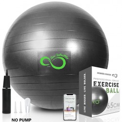 NEW MISSING PUMP 65CM Live Infinitely Exercise Ball (55cm-95cm) Extra Thick Professional Grade Balance & Stability Ball- Anti Burst Tested Supports 2200lbs- Includes Hand Pump & Workout Guide Access