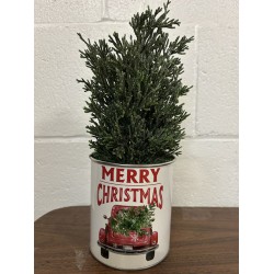 NEW 10 Holiday Time Have a Holly Jolly Christmas Mini Potted Tree Table Top Decoration,