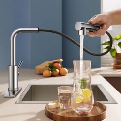 NEW Pull Down Single Handle Kitchen Faucet With Deck Plate, Handles and Supply Lines