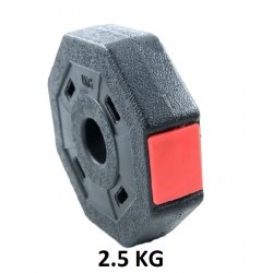 NEW 2.5KG Concrete Sand Filled Plastic Weight Plate